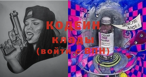шишки Козловка