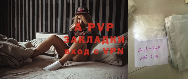 шишки Козловка