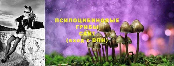 твердый Киреевск