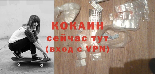 стаф Козельск