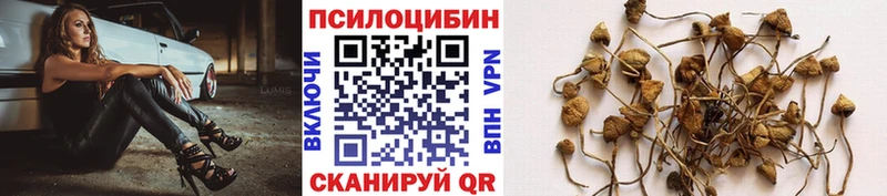 Псилоцибиновые грибы MAGIC MUSHROOMS Среднеколымск